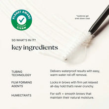 Load image into Gallery viewer, Caliray Beauty : Come Hell Or High Brow 24-Hour Volumizing Tubing Brow Gel