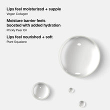 Load image into Gallery viewer, HAUS Labs PhD Hybrid Lip Oil : Tint