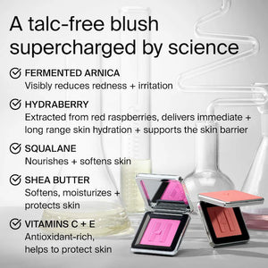 HAUS Labs Color Fuse Talc-Free Blush Powder With Fermented Arnica : Hibiscus Haze