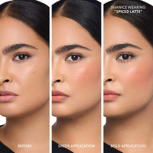 Danessa Myricks Beauty Blurring Balm Powder Flushed Matte Color for Cheek & Lip : Spiced Latte