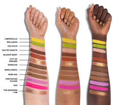 Load image into Gallery viewer, Morphe : Meredith Duxbury Artistry Eyeshadow Palette