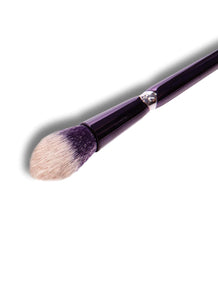 Anisa Beauty : Tapered Highlight Brush