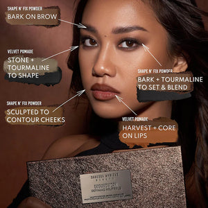 Danessa Myricks Groundwork All Over Palette : Defining Neutrals