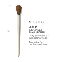 Load image into Gallery viewer, Morphe : Ariel A22 Signature Blush Brush